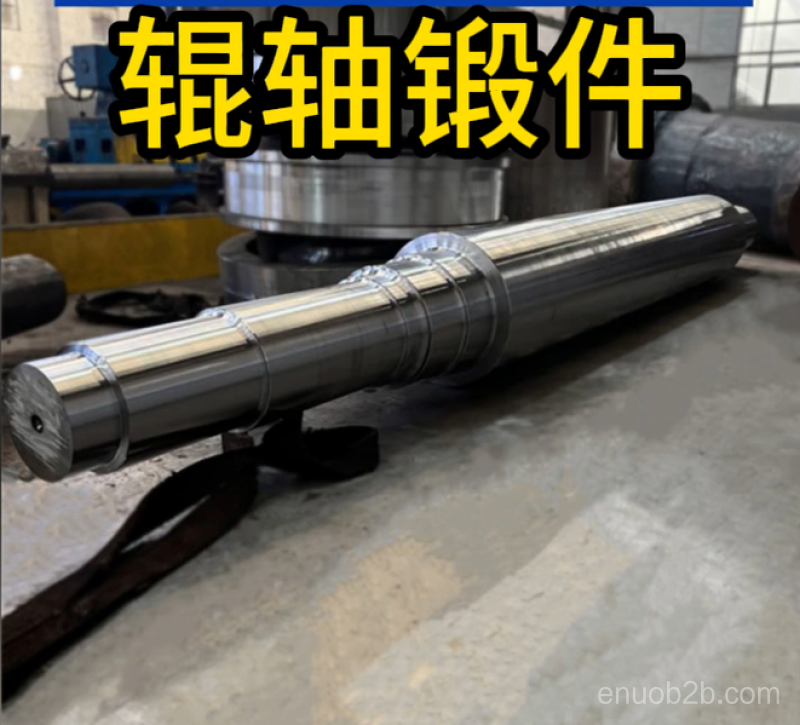 辊轴锻件 (5)