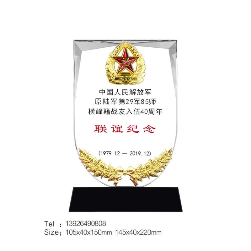新贴麦穗奖牌-战友联谊纪念