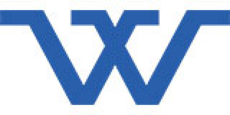 东莞市大忠电子有限公司经理人：杨生个人形象