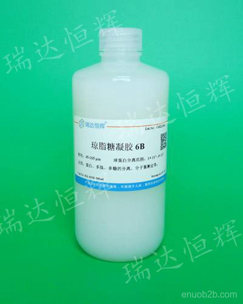 琼脂糖凝胶6B