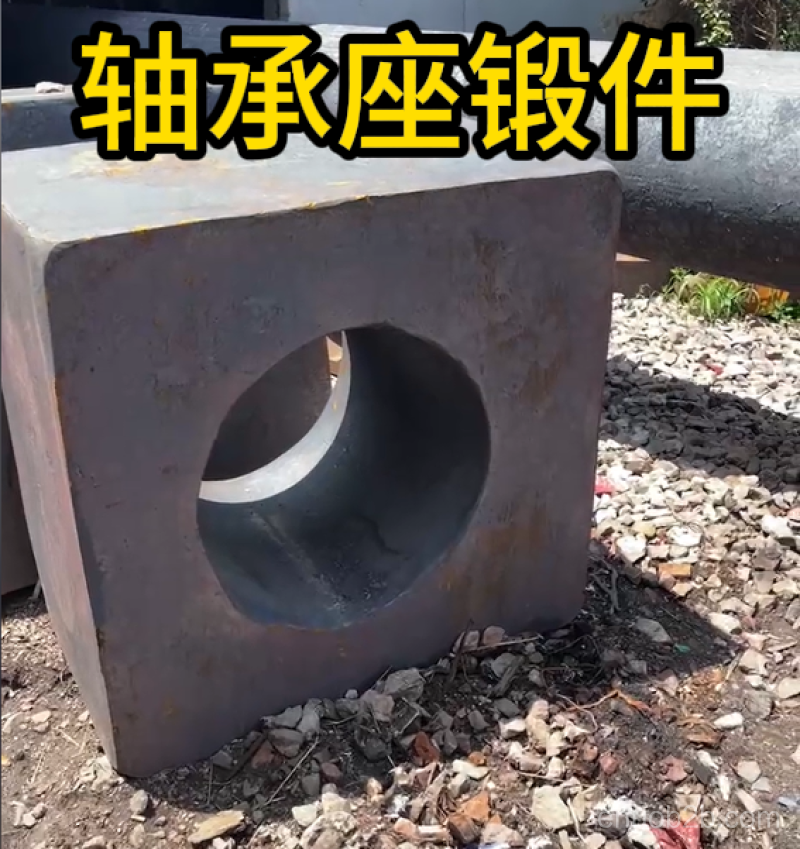轴承座锻件 (5)
